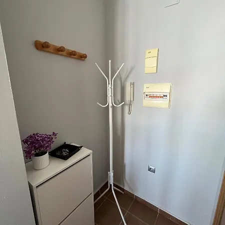 Premium Apartment
